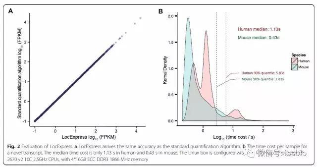 RNA转录本研究利器LocExpress