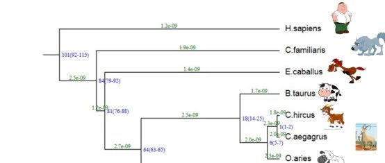 linux下进化树可视化工具