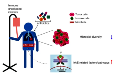 SXR202204004C10种免疫检查点抑制剂相关的irAEs的发生率，meta分析告诉你！
