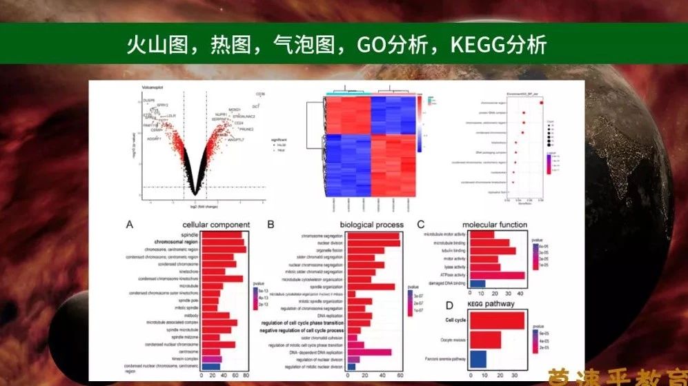 无实验无数据没关系，挖掘别人的数据，发表自己的文章