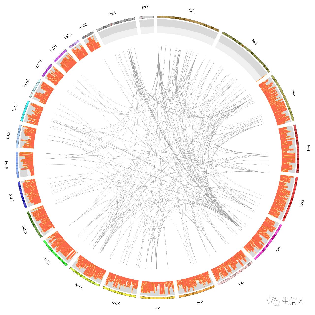 从绘制一个圈开始