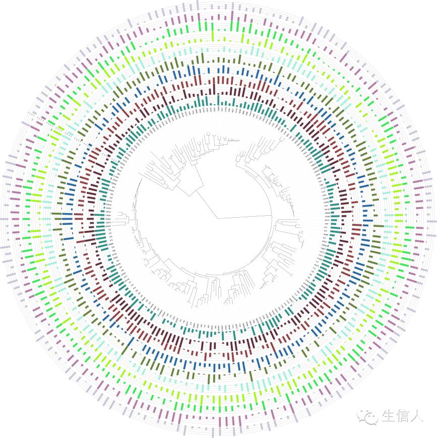 在线编辑进化树工具