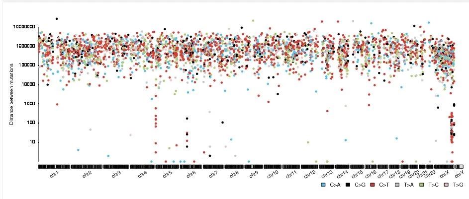 一键式体细胞突变分析