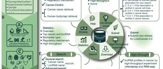 研究肿瘤lncRNA不能不知道的数据库