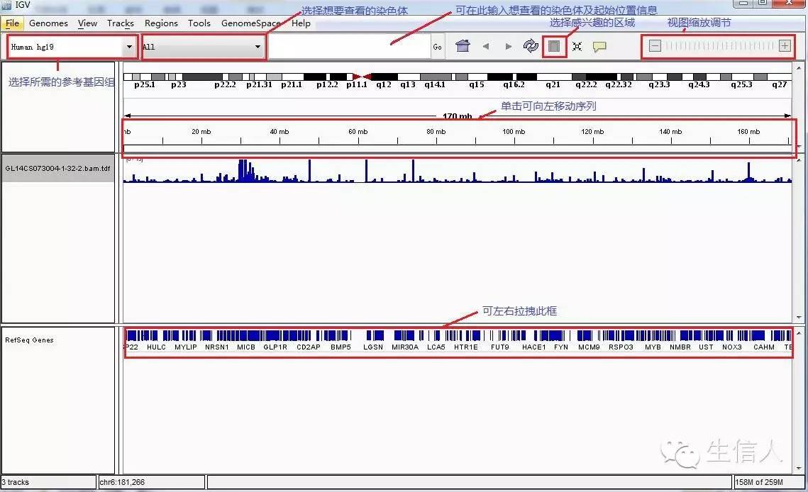 IGV软件使用指南