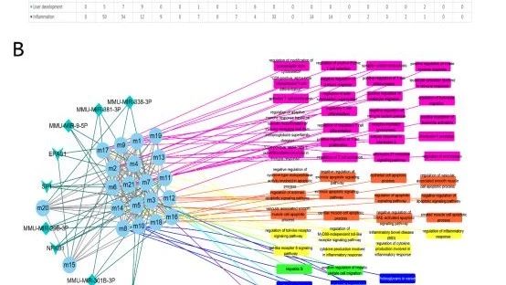 不需要编程的医学套路文章，不止3分