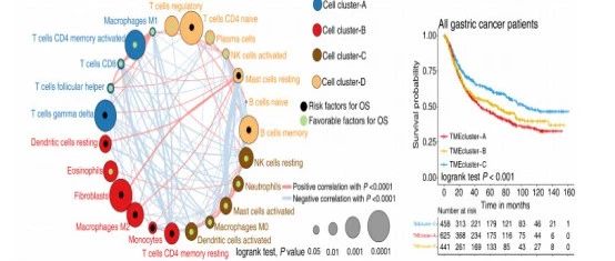 文献解读：通过刻画胃癌微环境来识别与预后和免疫相关的基因标记