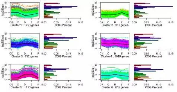 转录组测序如何发高分文章