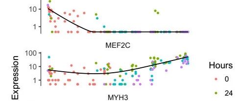 单细胞谱系分析详解