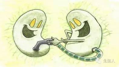 HGT：水平基因转移简单介绍