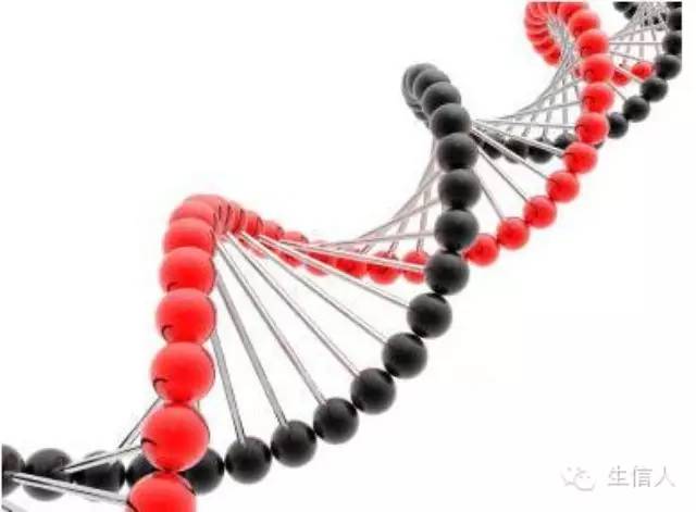 均分Fa文件程序推荐