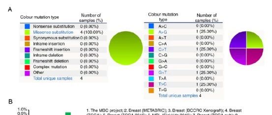 没数据，没试验，不懂编程，如何利用一根网线发文章，实例讲解