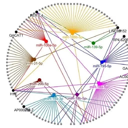 Dr社区：非编码RNA介绍