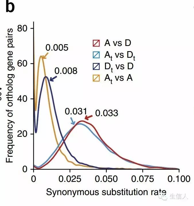 paml使用手册（三）