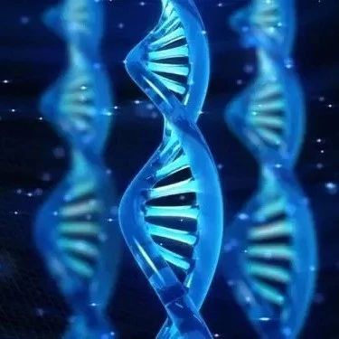 高通量测序与数据挖掘和分析实训班