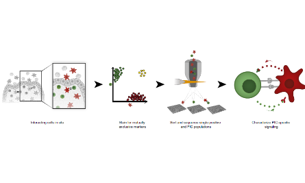 PIC-seq：单细胞层面揭示存在物理作用的细胞互作