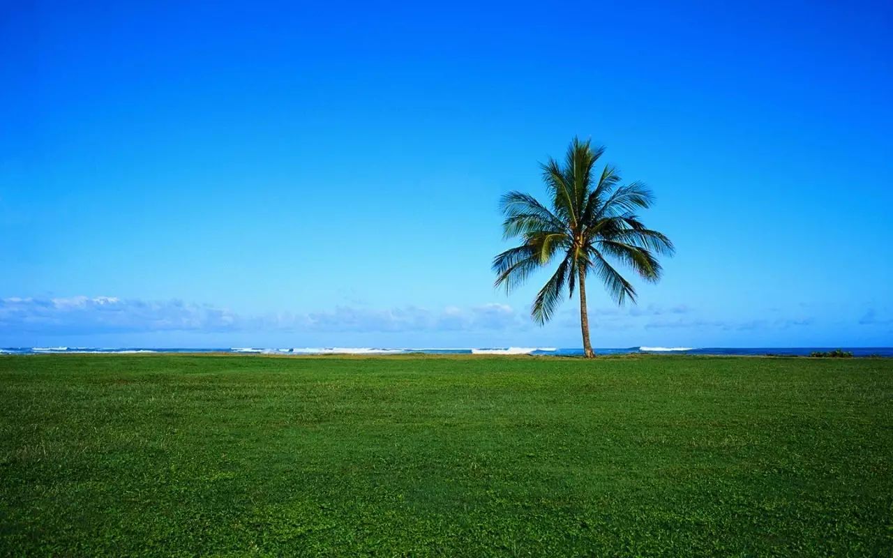 推广：8月21-25日 基于多组学的慢性疾病研究研讨班