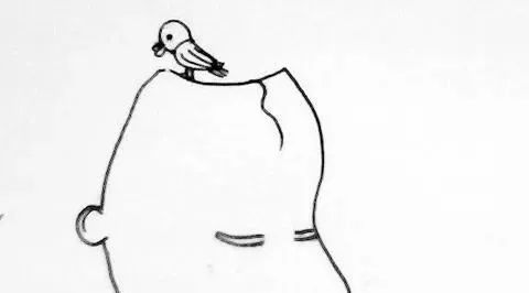 与生信大牛擦肩的日子