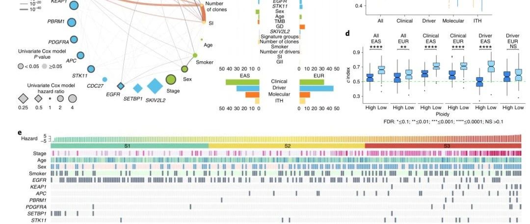 Nature Genetics|东亚肺腺癌的基因组全景