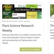 2019年植物学会议年历