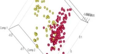 开发一种新的自噬相关的浆液性卵巢癌预后标志物