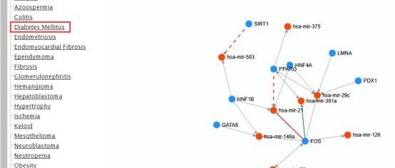 调控miRNA的转录因子数据库TransmiR