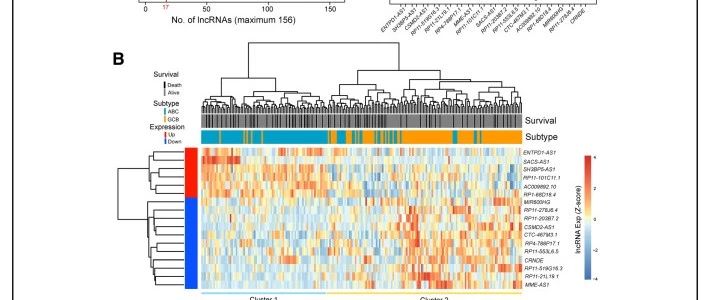 免疫相关lncRNA思路讲解