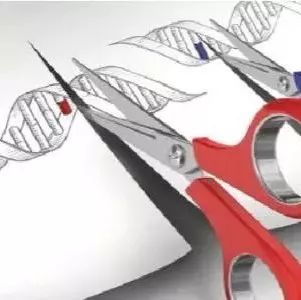 CRISPR/Cas9基因靶向修饰技术学习班