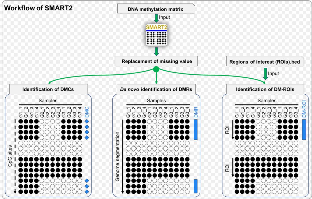 介绍几个DNA甲基化差异筛选的软件