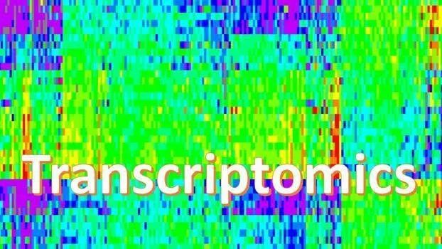 RNA-seq测序基本知识
