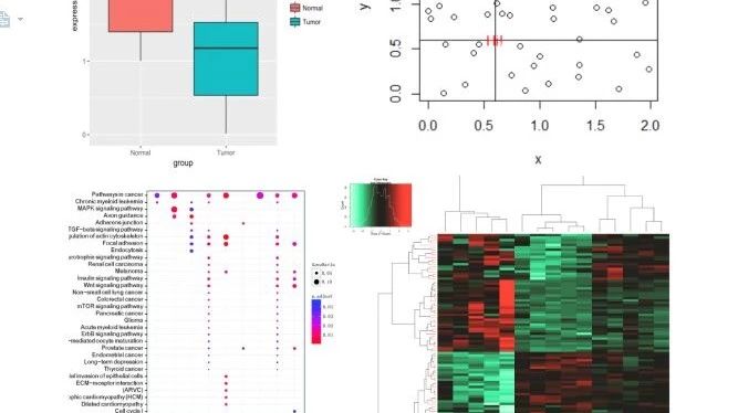 全国第6期R语言数据分析实战技术学习班