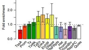 一篇发在NC上的公开数据库meta分析