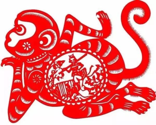 金丝猴文章解读